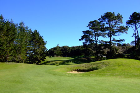 �j���[�W�[�����h�̃S���t�� �}���K���C