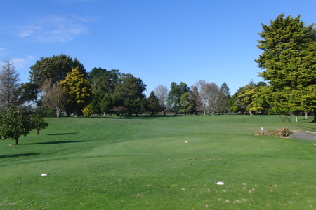 �j���[�W�[�����h�̃S���t��