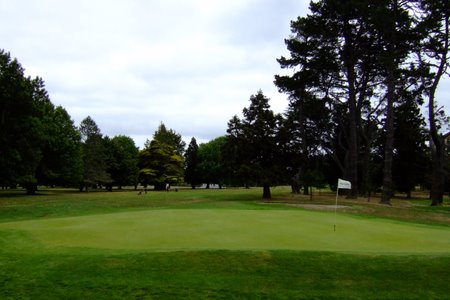 �j���[�W�[�����h�̃S���t��