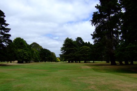 �j���[�W�[�����h�̃S���t��