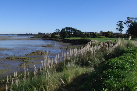 �j���[�W�[�����h�̃S���t��