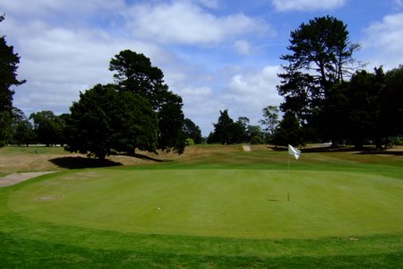 �j���[�W�[�����h�̃S���t��