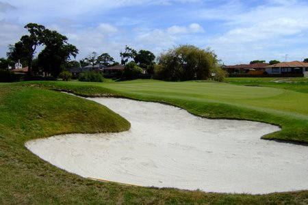 �j���[�W�[�����h�̃S���t��