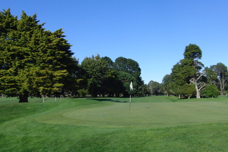 �j���[�W�[�����h�̃S���t��