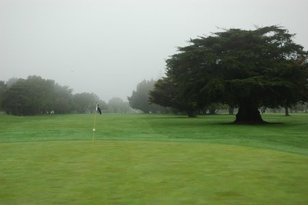 �j���[�W�[�����h�̃S���t��