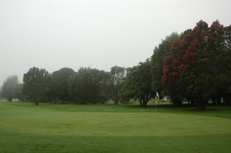 �j���[�W�[�����h�̃S���t��