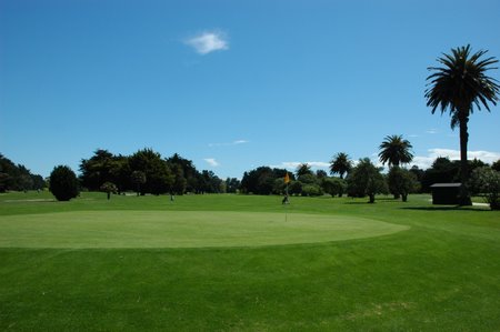 �j���[�W�[�����h�̃S���t��