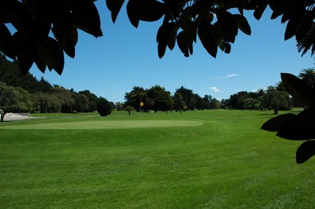 �j���[�W�[�����h�̃S���t��