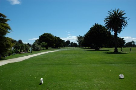 �j���[�W�[�����h�̃S���t��