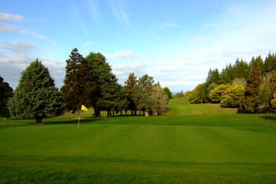 �j���[�W�[�����h�̃S���t��