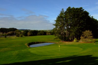 �j���[�W�[�����h�̃S���t��