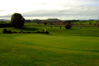 �j���[�W�[�����h�̃S���t��