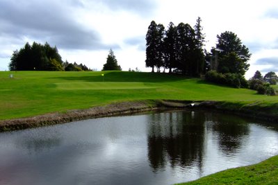 �j���[�W�[�����h�̃S���t��