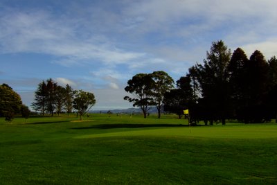 �j���[�W�[�����h�̃S���t��