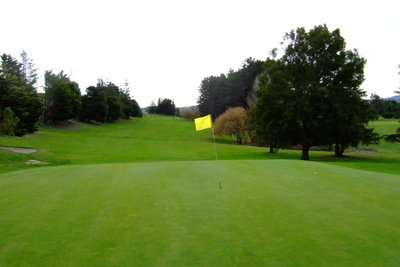 �j���[�W�[�����h�̃S���t��