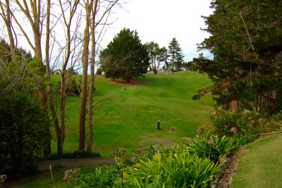 �j���[�W�[�����h�̃S���t��