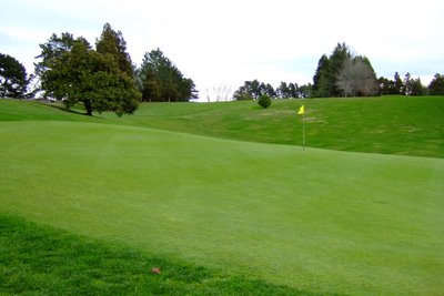 �j���[�W�[�����h�̃S���t��