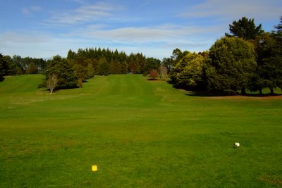 �j���[�W�[�����h�̃S���t��