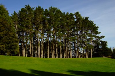 �j���[�W�[�����h�̃S���t��