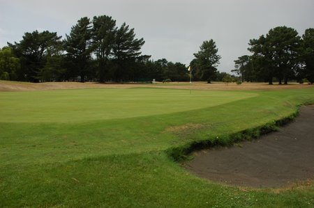 �j���[�W�[�����h�̃S���t��