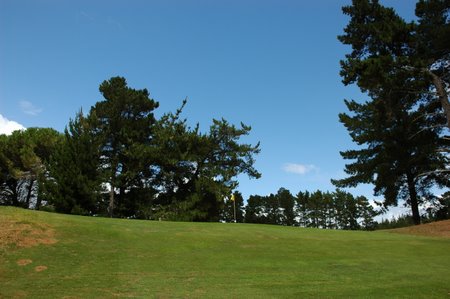 �j���[�W�[�����h�̃S���t��