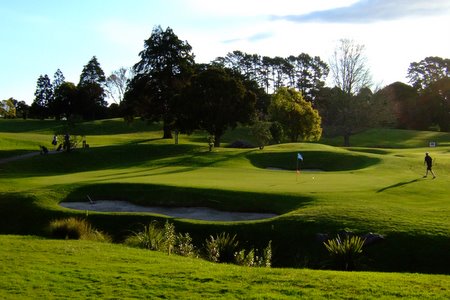 �j���[�W�[�����h�̃S���t��