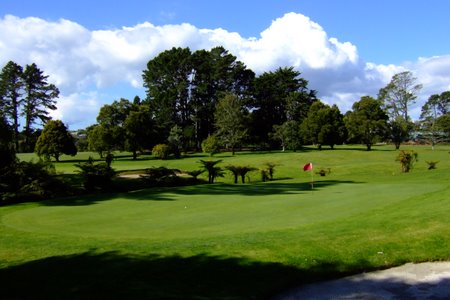 �j���[�W�[�����h�̃S���t��