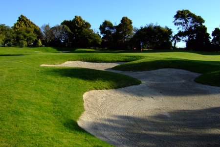 �j���[�W�[�����h�̃S���t��