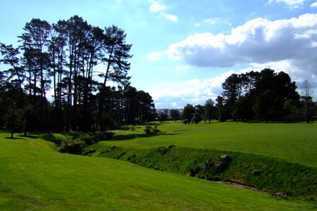 �j���[�W�[�����h�̃S���t��