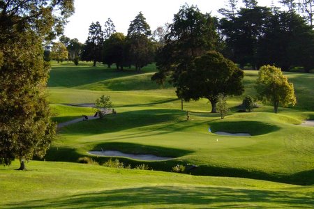 �j���[�W�[�����h�̃S���t��