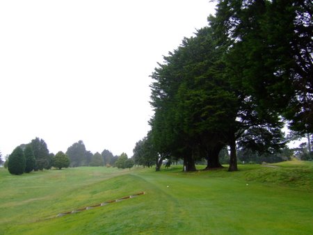 �j���[�W�[�����h�̃S���t��