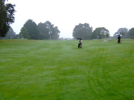 �j���[�W�[�����h�̃S���t��