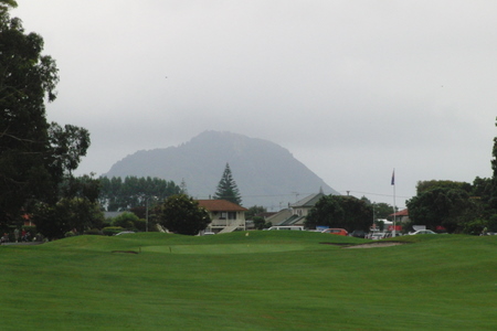 �j���[�W�[�����h�̃S���t��