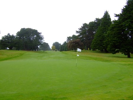 �j���[�W�[�����h�̃S���t��