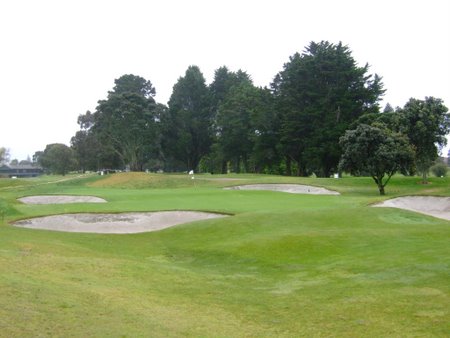 �j���[�W�[�����h�̃S���t��