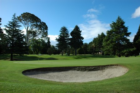 �j���[�W�[�����h�̃S���t��