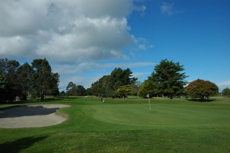 �j���[�W�[�����h�̃S���t��