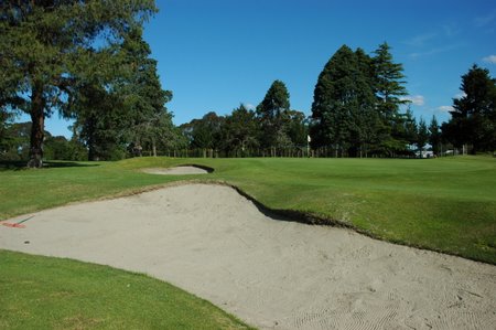 �j���[�W�[�����h�̃S���t��