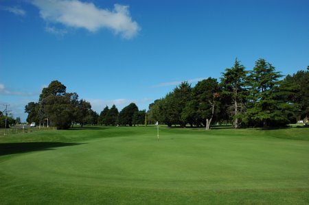 �j���[�W�[�����h�̃S���t��