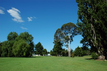 �j���[�W�[�����h�̃S���t��