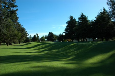 �j���[�W�[�����h�̃S���t��