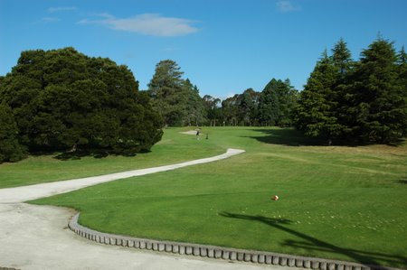 �j���[�W�[�����h�̃S���t��