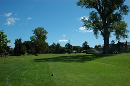 �j���[�W�[�����h�̃S���t��