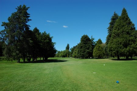 �j���[�W�[�����h�̃S���t��