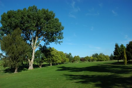 �j���[�W�[�����h�̃S���t��