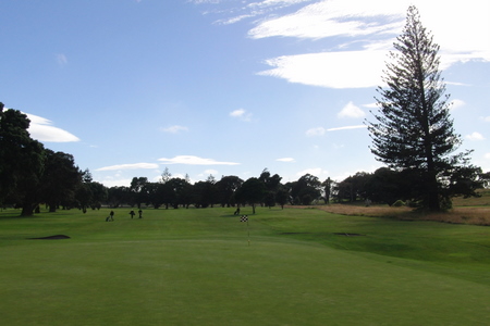 �j���[�W�[�����h�̃S���t��