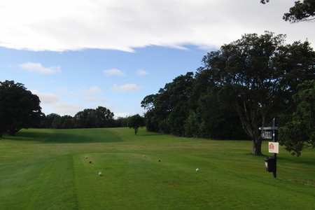 �j���[�W�[�����h�̃S���t��