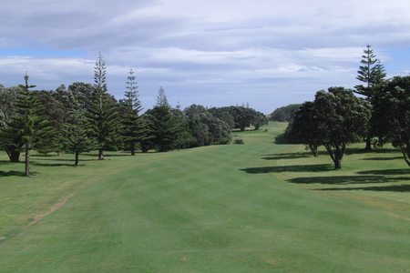 �j���[�W�[�����h�̃S���t��