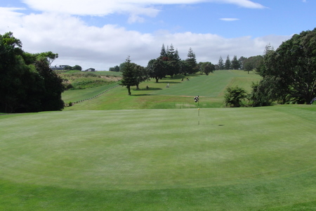 �j���[�W�[�����h�̃S���t��