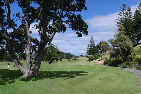 �j���[�W�[�����h�̃S���t��